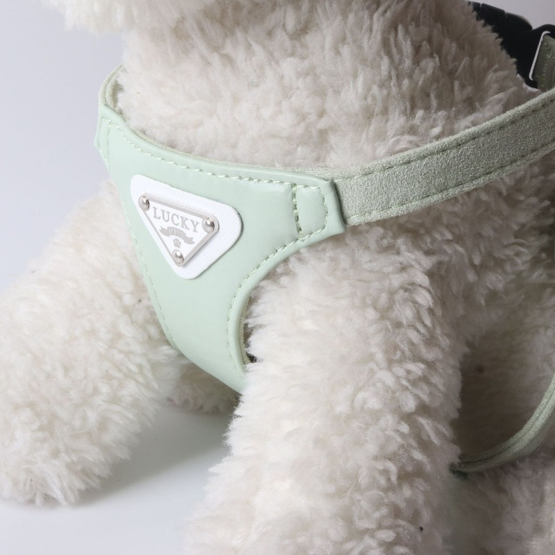 Küçük ve Orta Boy Köpekler içi - Leather Strap Quick Release incelemesi ve fiyatı